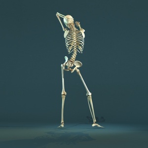 skeleton3