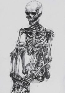 skeleton4