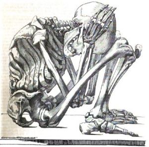 skeleton5