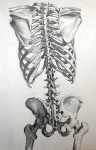 skeleton6